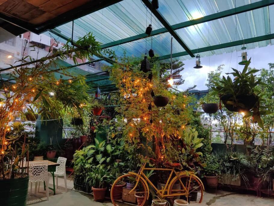 The Nook Rooftop Condo And Garden Guwahati Luaran gambar